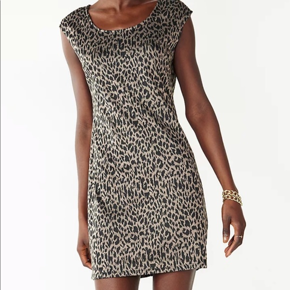 Sleeveless leopard dress size XL - Picture 1 of 4